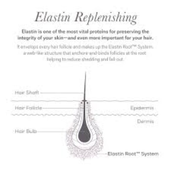 NULASTIN LASH Follicle Fortifying Serum - Picture 3 of 3